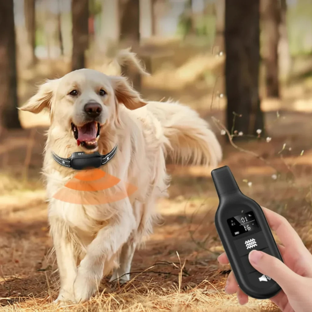 Remote Dog Training Collar with 3300ft Range and 16 Intensity Levels