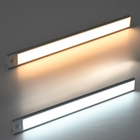 Motion Sensor LED Light with Magnetic Mounting and Adjustable Brightness, Three Color Temperatures