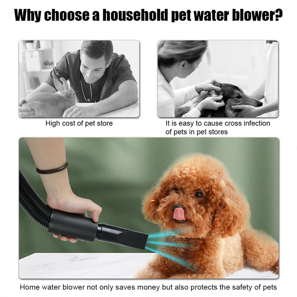 High Velocity Dog Grooming Dryer with Dual Speed Settings and Adjustable Temperature, Four Nozzle Attachments