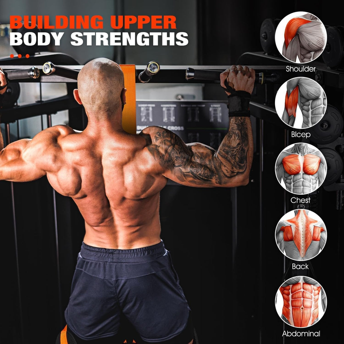 Pull Up Assist Band with Double Foot Loops and Adjustable Straps