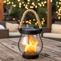 Solar Flame Light with Flickering LED Effect and Automatic Dusk Sensor, 10 Inch Waterproof