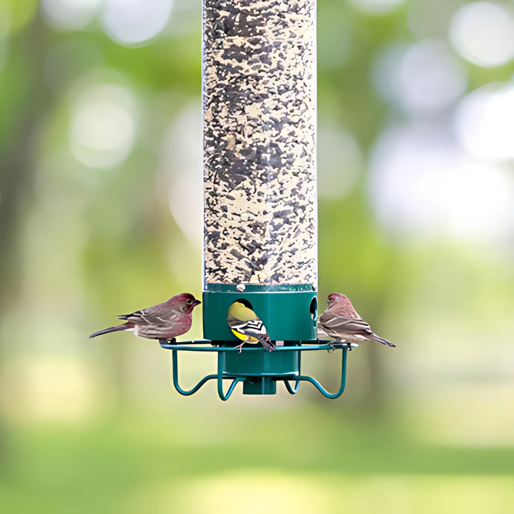 Rotating Perch Bird Feeder with Metal Frame and Clear Tube, Forest Green
