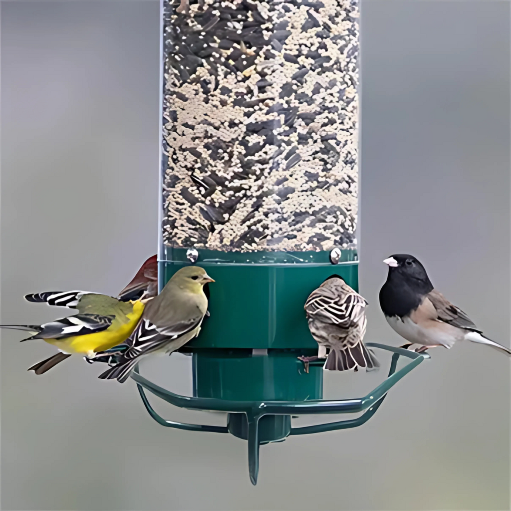 Rotating Perch Bird Feeder with Metal Frame and Clear Tube, Forest Green