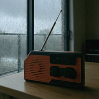 NaturVibes 4-in-1 Emergency Radio with Solar, Crank and Power Bank