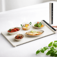 Electric Tabletop Food Warmer with Timer Control and Detachable Insulation Pad