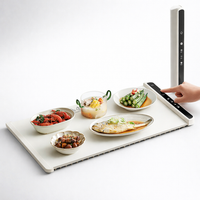 Electric Tabletop Food Warmer with Timer Control and Detachable Insulation Pad