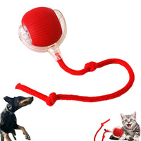 Interactive Rolling Pet Toy with Touch Activation and Chew Resistant Material for Dogs and Cats
