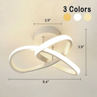 Adjustable LED Ceiling Light, Modern Metal Lighting Fixture