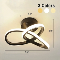 Adjustable LED Ceiling Light, Modern Metal Lighting Fixture