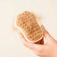 Pet Grooming Brush with Mist and Silicone Bristles
