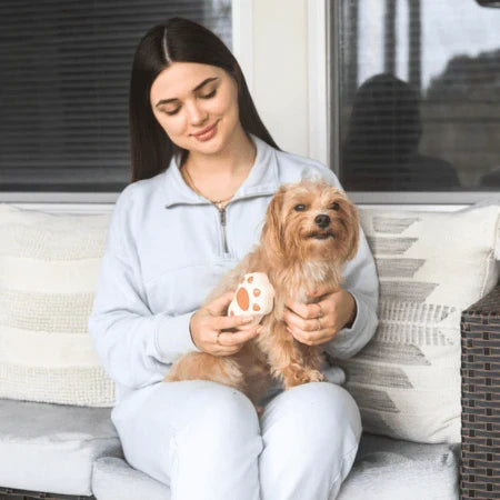 Pet Grooming Brush with Mist and Silicone Bristles
