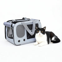 Cat Travel Carrier with Ventilated Mesh Panel Design