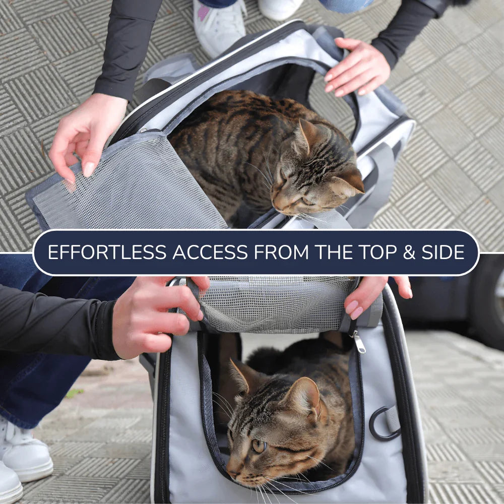Cat Travel Carrier with Ventilated Mesh Panel Design