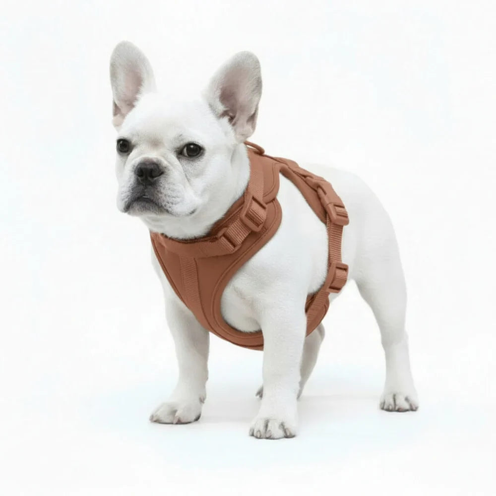 Adjustable Dog Harness with Mesh Padding and Lightweight Nylon Build