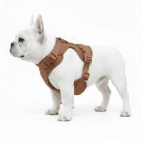 Adjustable Dog Harness with Mesh Padding and Lightweight Nylon Build