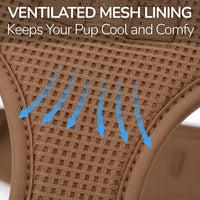 Adjustable Dog Harness with Mesh Padding and Lightweight Nylon Build