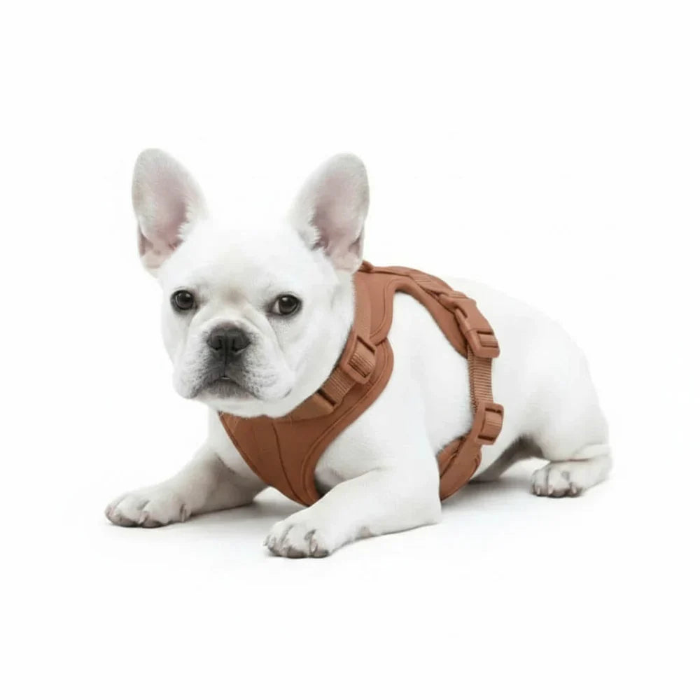 Adjustable Dog Harness with Mesh Padding and Lightweight Nylon Build