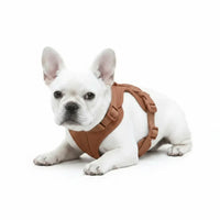 Adjustable Dog Harness with Mesh Padding and Lightweight Nylon Build