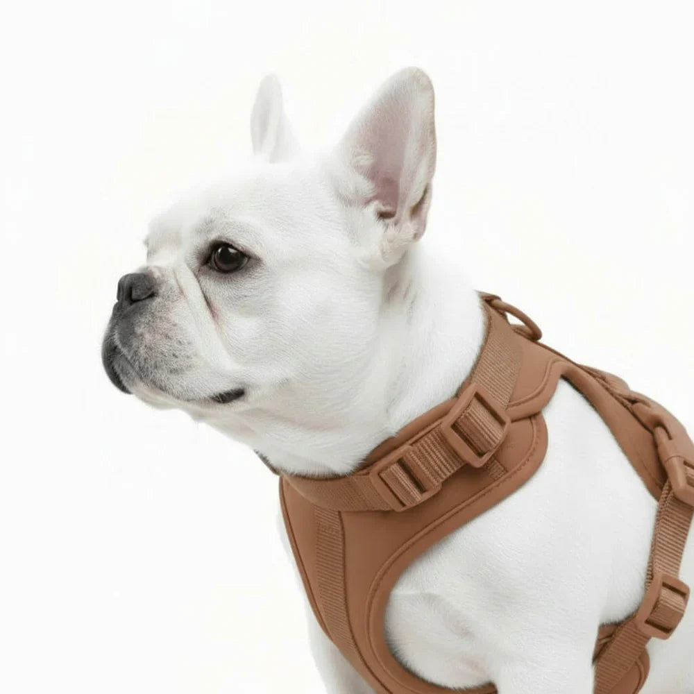 Adjustable Dog Harness with Mesh Padding and Lightweight Nylon Build