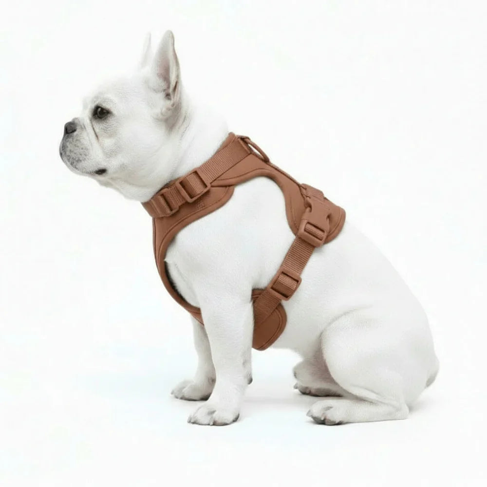 Adjustable Dog Harness with Mesh Padding and Lightweight Nylon Build