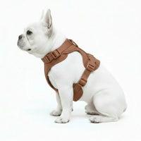 Adjustable Dog Harness with Mesh Padding and Lightweight Nylon Build