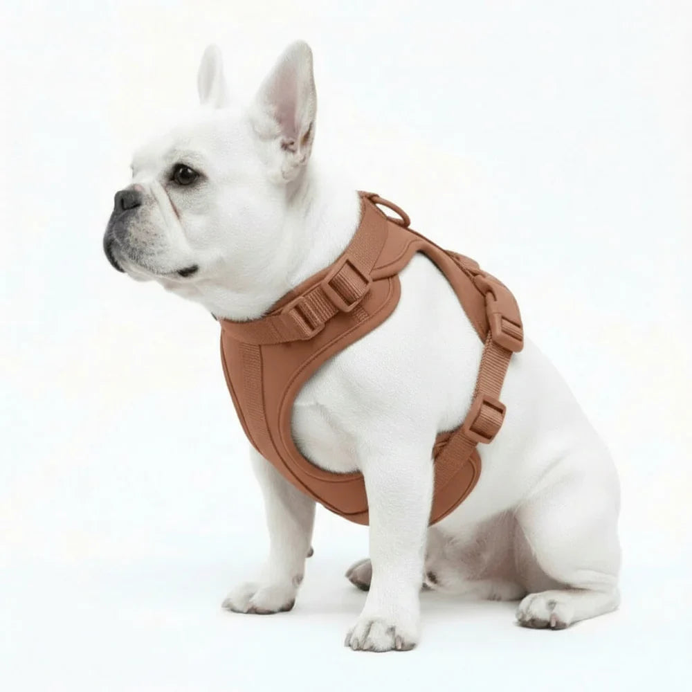 Adjustable Dog Harness with Mesh Padding and Lightweight Nylon Build