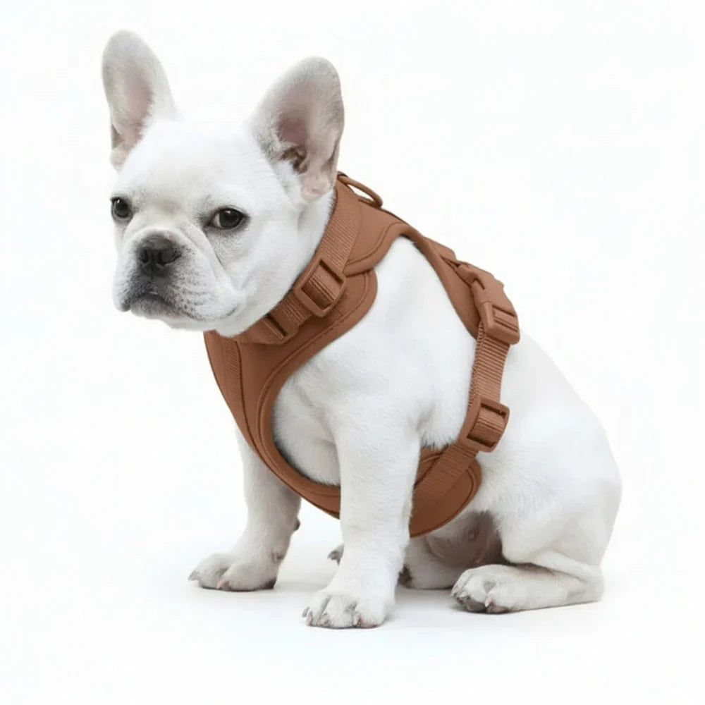 Adjustable Dog Harness with Mesh Padding and Lightweight Nylon Build