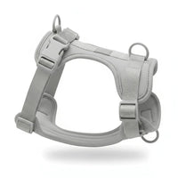 Adjustable Dog Harness with Mesh Padding and Lightweight Nylon Build
