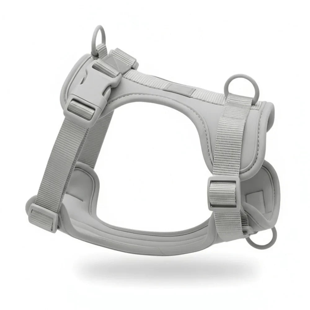 Adjustable Dog Harness with Mesh Padding and Lightweight Nylon Build