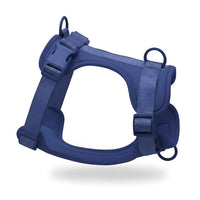 Adjustable Dog Harness with Mesh Padding and Lightweight Nylon Build