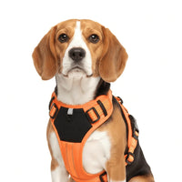 Adjustable Dog Harness with Reflective Strips and Nylon Build