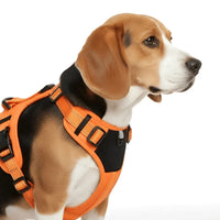 Adjustable Dog Harness with Reflective Strips and Nylon Build