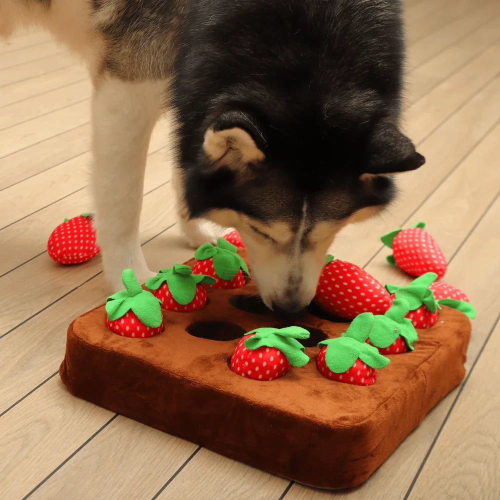 Dog Snuffle Mat Interactive Treat Toy with Plush Hide and Seek Design