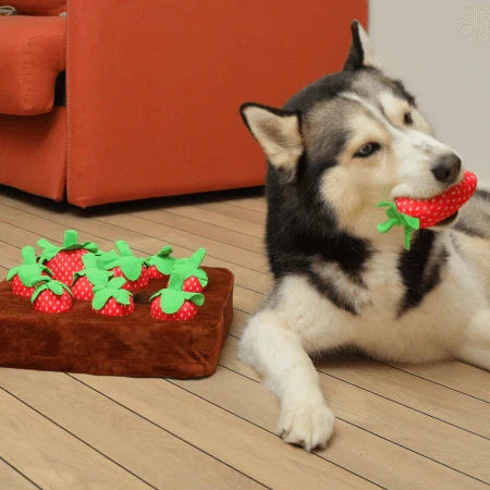 Dog Snuffle Mat Interactive Treat Toy with Plush Hide and Seek Design