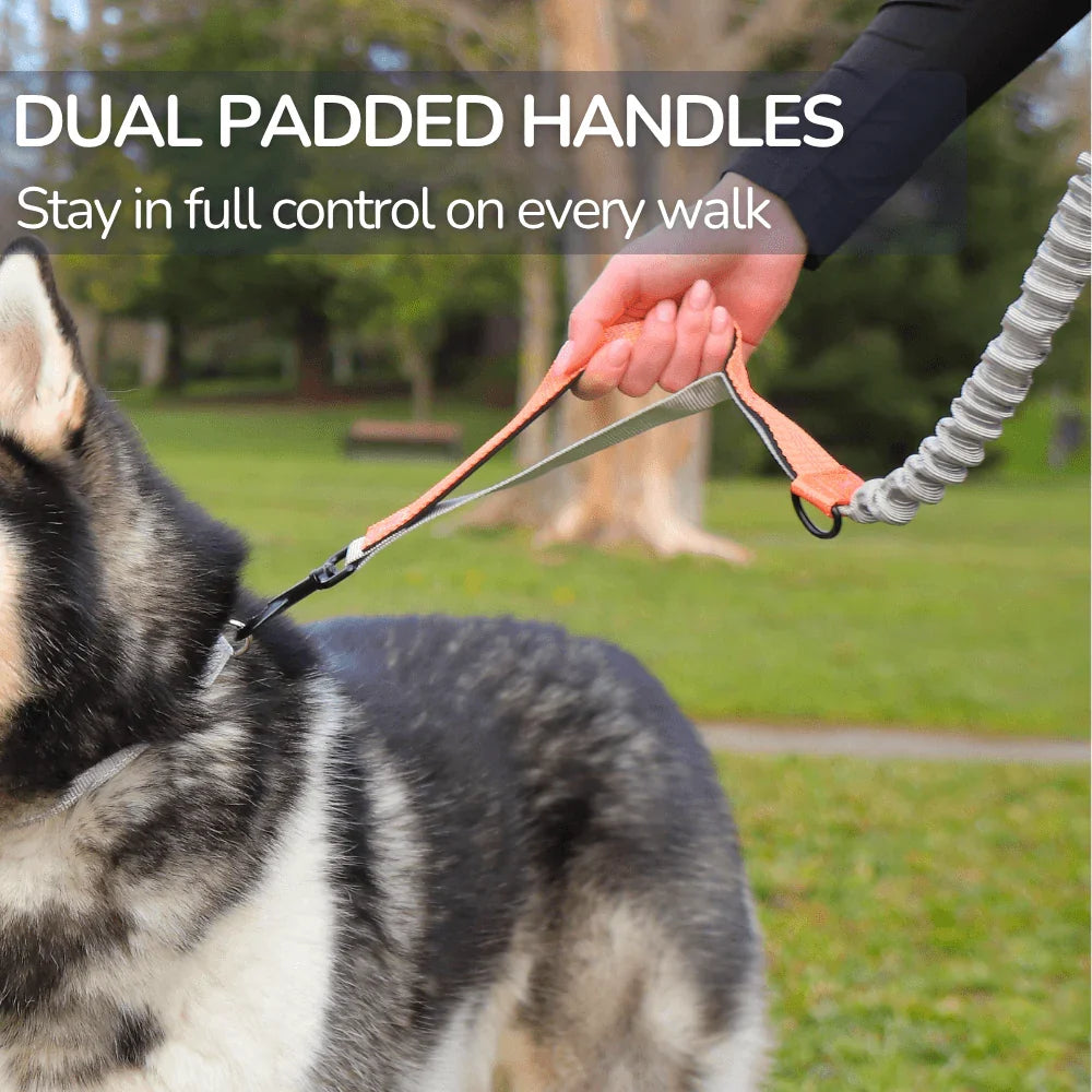 Dog Walking Lead with Adjustable Waist Strap and Reflective Details