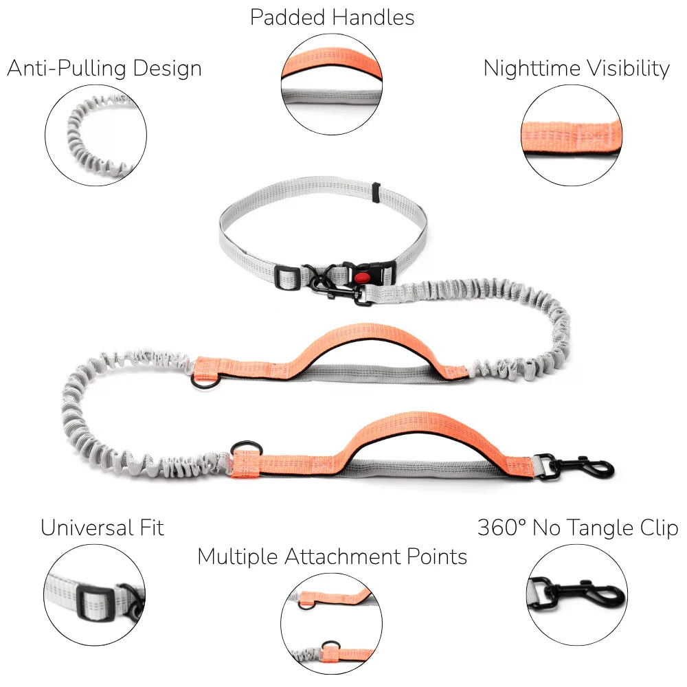Dog Walking Lead with Adjustable Waist Strap and Reflective Details