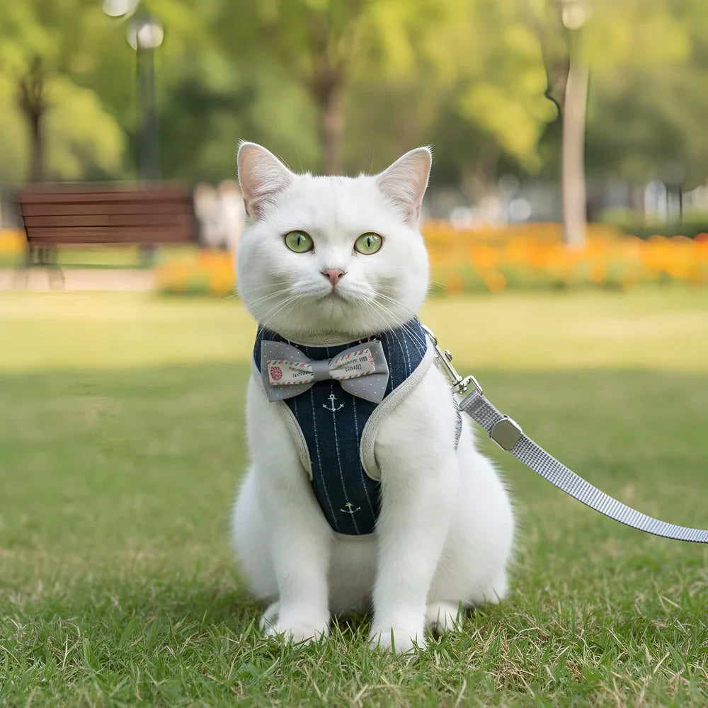 Cat Harness and Leash Set Soft Mesh Adjustable
