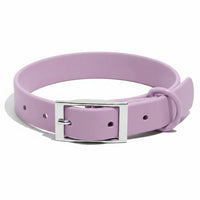 Adjustable Dog Collar with PVC Coating and Polyester Webbing
