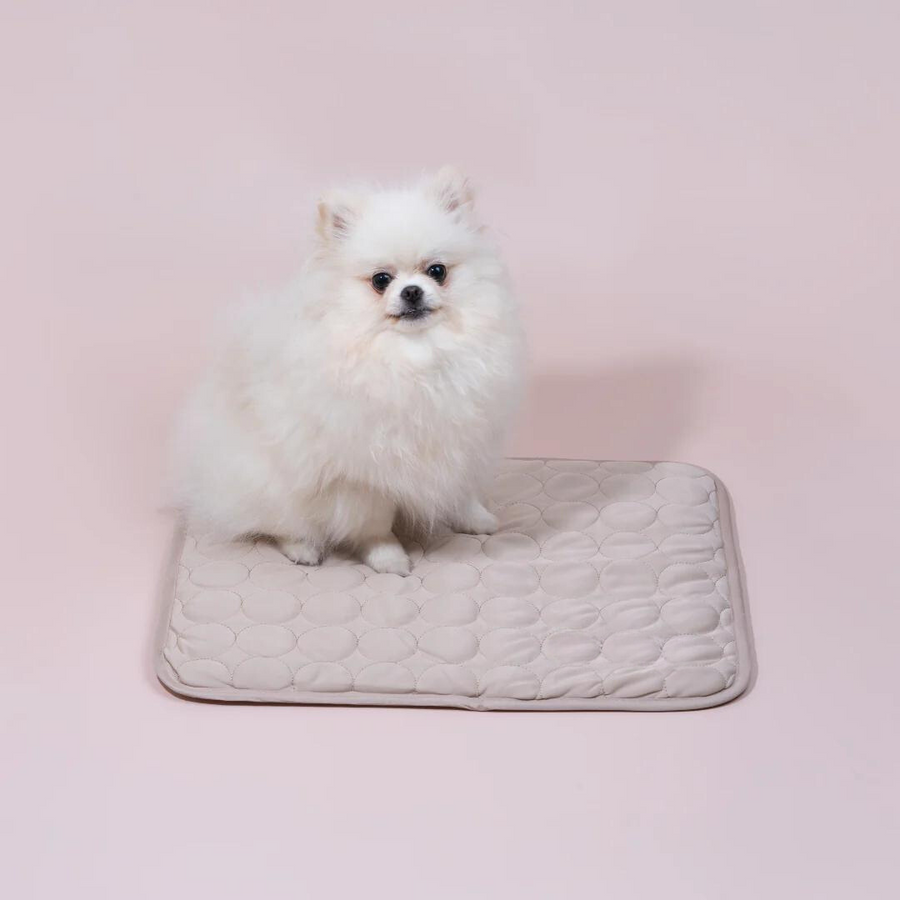 Dog Cooling Mat with Breathable Ice Silk and Washable Surface