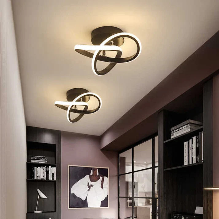 Adjustable LED Ceiling Light, Modern Metal Lighting Fixture