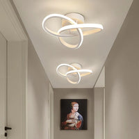 Adjustable LED Ceiling Light, Modern Metal Lighting Fixture