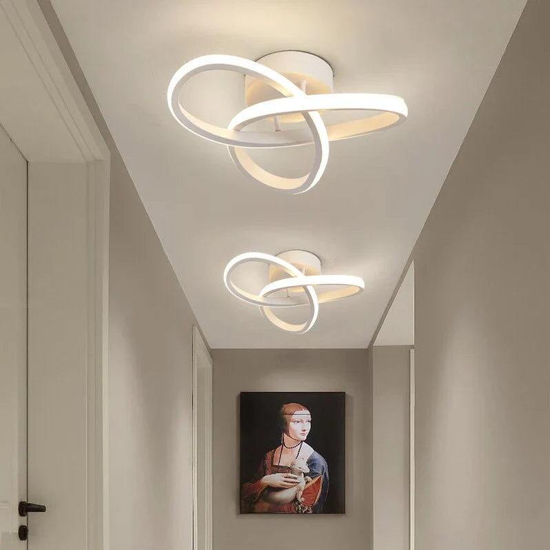 Adjustable LED Ceiling Light, Modern Metal Lighting Fixture