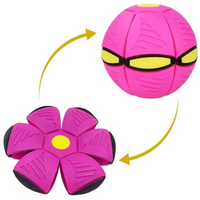 Dual Shape Flying Disc and Bouncing Ball for Kids and Pets