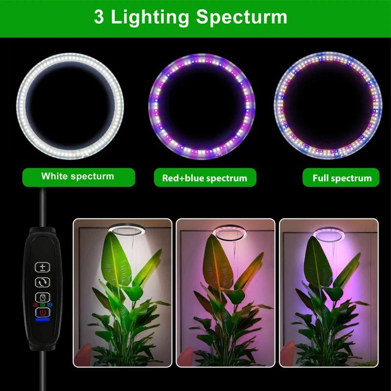 Full Spectrum LED Ring Light with Telescoping Stand and Automated Timer for Indoor Plants