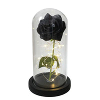 Preserved Real Rose with LED Dome Display and Battery Base
