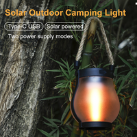 Solar Flame Light with Flickering LED Effect and Automatic Dusk Sensor, 10 Inch Waterproof