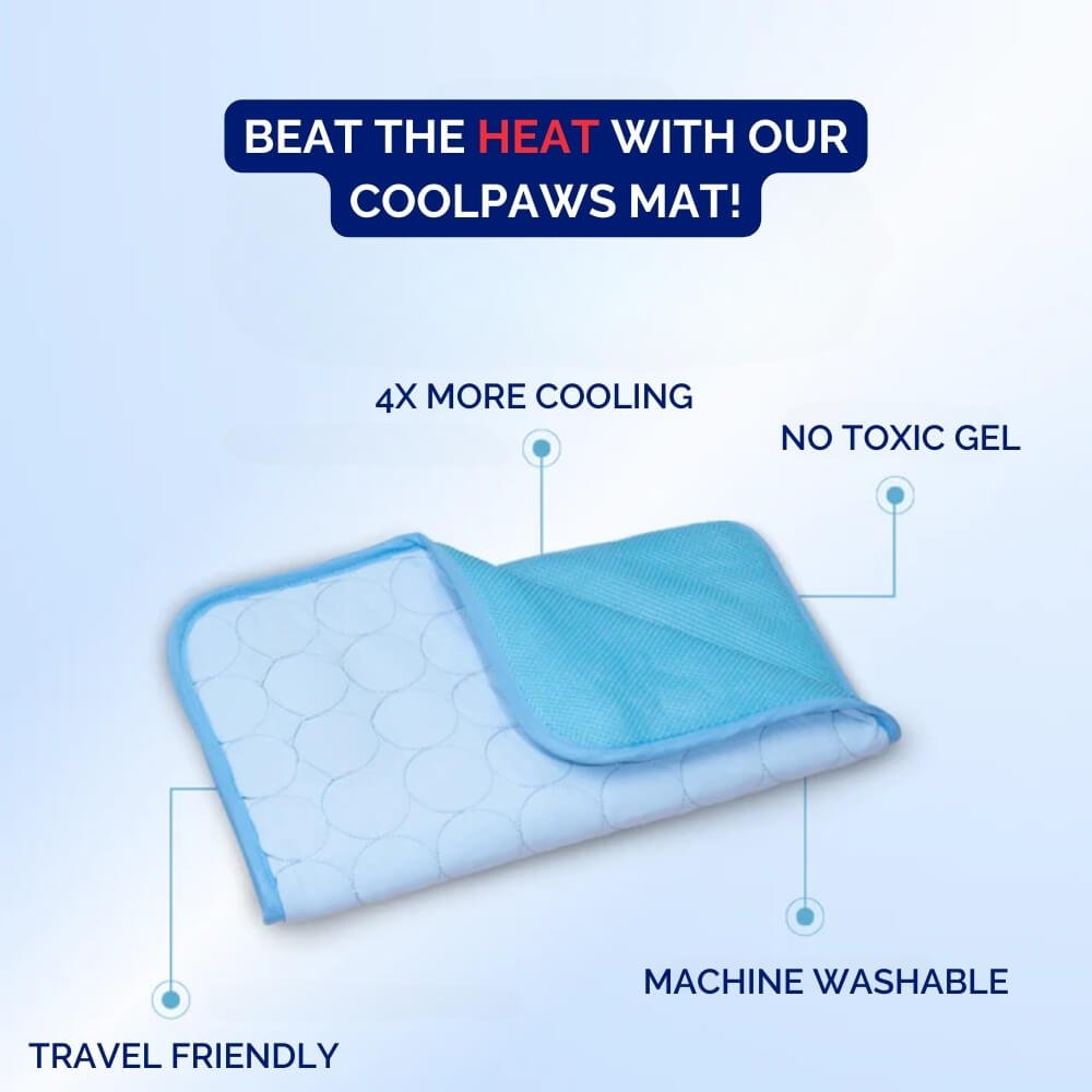 Pressure Activated Cooling Mat for Dogs with Foldable Gel Design