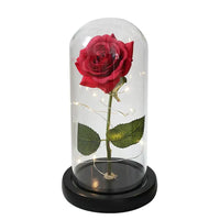 Preserved Real Rose with LED Dome Display and Battery Base
