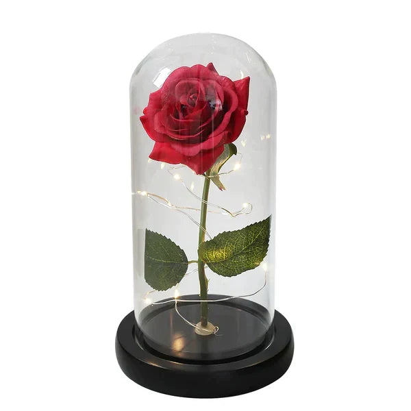 Preserved Real Rose with LED Dome Display and Battery Base