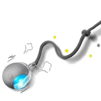 Rechargeable Smart Interactive Toy for Pets